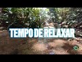 TEMPO DE RELAXAR - 🌿✨ Mergulhe nos sons relaxantes da natureza!
