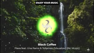 Black Coffee - Flava feat. Una Rams & Tellaman (Visualizer) [Nc Music]