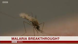 2019 May 31 BBC One minute World News