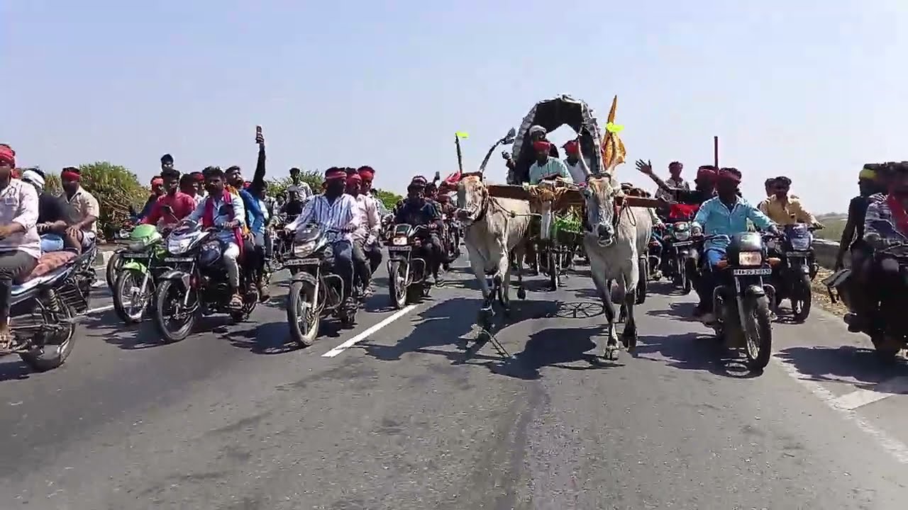 ಮೈಲಾರ ಜಾತ್ರೆ ಜನಸಾಗರ ಬಂಕಾಪುರ ಚಕ್ಕಡಿ  ನೋಡಿಲೆ ಬಿಕದ ದೃಷಾ ಫುಲ್ ಜಿದಾ ಜಿದ್ದಿ ಜೈ ಚಕ್ಕಡಿ ಪ್ರೇಮಿ ✌️💥
