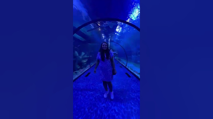 6 cool things at National Aquarium Abu Dhabi #shorts #abudhabi 😍🐠🦀🐟