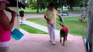 MIX 106's Kate McGwire at the 4th Annual Pooch Party Stroll and Splash