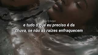 ALIIGATOR TEARS - beyoncé [TRADUÇÃO/LEGENDADO]
