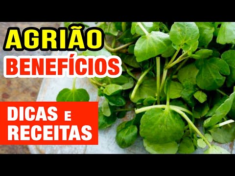 Vídeo: Usos Medicinais do Agrião - Aprenda Sobre os Remédios Comuns do Agrião