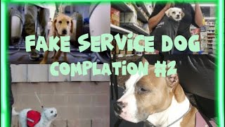 Fake Service Dog Compilation Part 2
