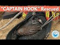 "Captain Hook" Rescued - 45min Seal Rescue
