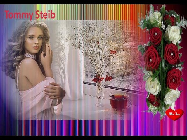 Tommy Steib - Ich lieb alles an Dir