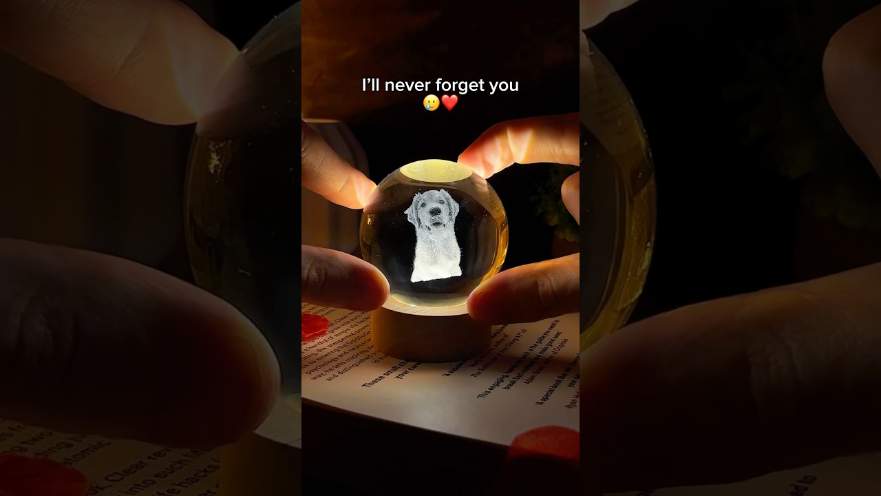 The cutest gift ever 😭💔 