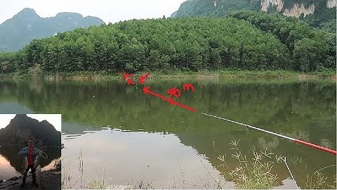 Hướng Dẫn Câu Lục , Câu Ổ chi tiết cho người mới