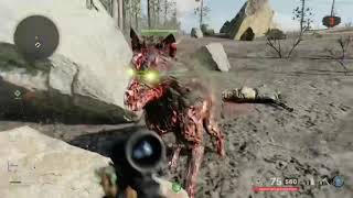 When you brain rot a dog in cold war zombies