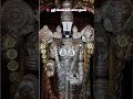 🌺  ஸ்ரீ வெங்கடேசாய நமஃ  🌺 #tirumala #tirupatibalaji #govinda #balaji #venkateswara #shorts #ytshorts
