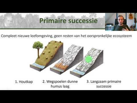 Video: Wat is een climax-ecosysteem?