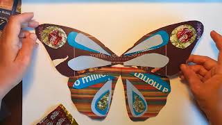 Collage Insect