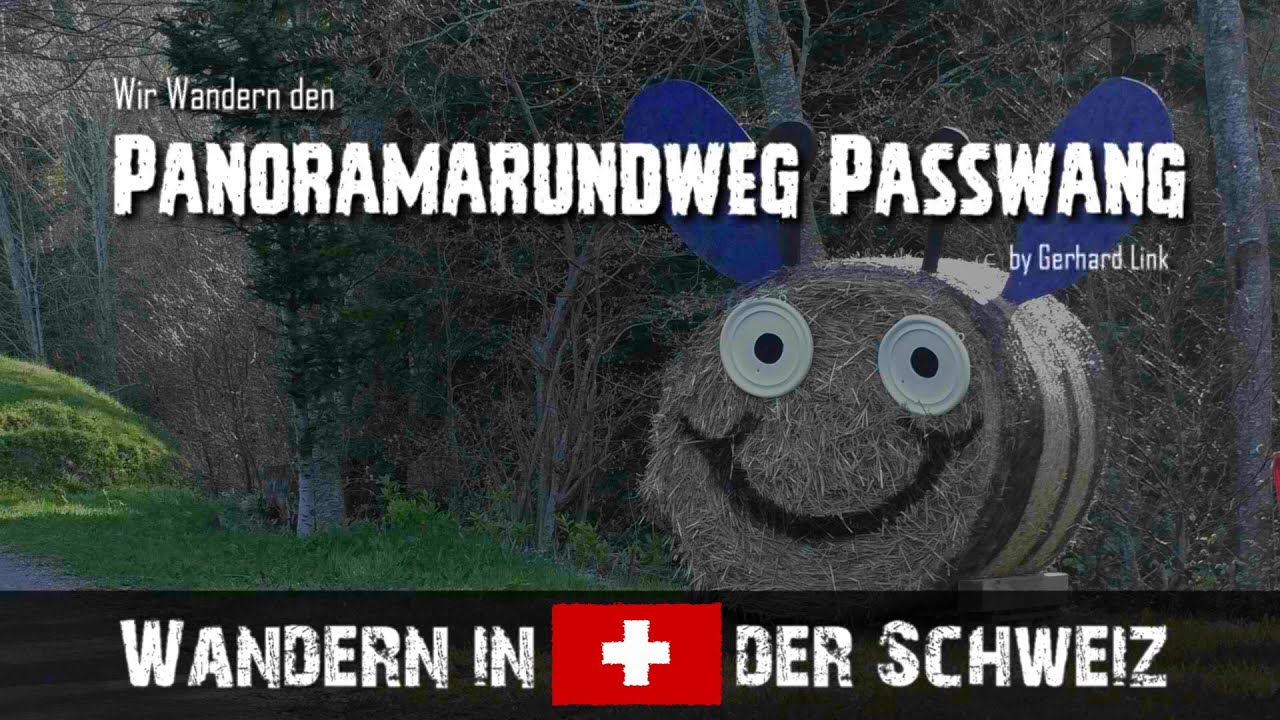 WIR WANDERN DEN PANORAMARUNDWEG PASSWANG / DIE SCHWEIZ 🇨🇭🥾 🌲 🌻