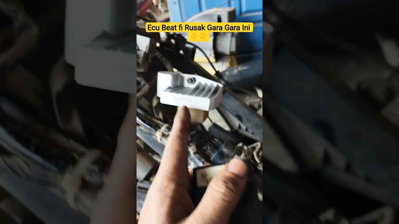 Gara Gara Kiprok Imitasi Beat Fi Jadi Mogok