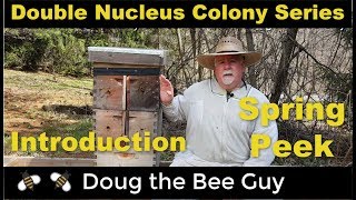 Double Nucleus Colony Series Episode 1: Introduction
