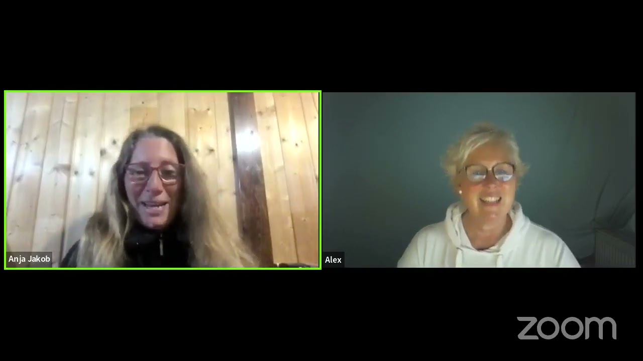 Wie Dein Hund und Du durch Treibball zu einem tierisch tollen Team werden und ihr viel Spaß habt