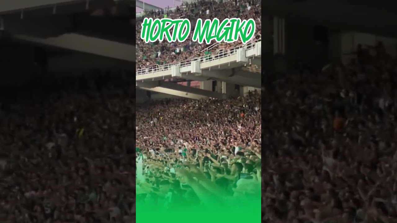 Horto Magiko Panathinaikos Football Club Gate 13 Athens | 30.07.2025 vs Rangers (CL - Qualification)