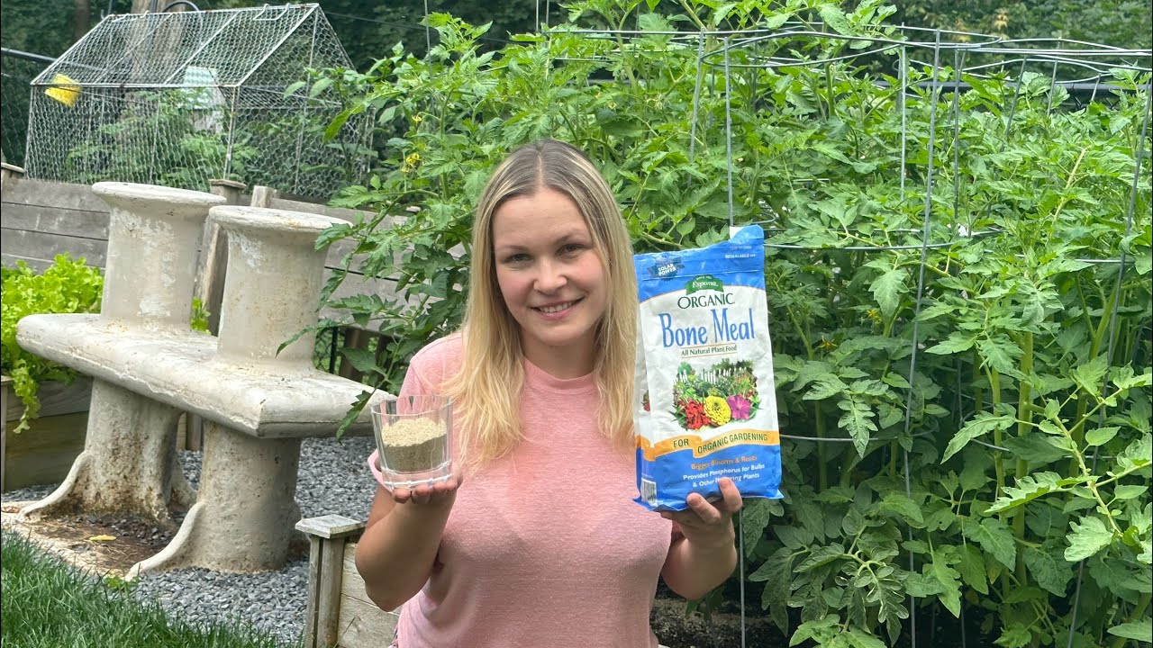 Костная мука 🦴 Этот волшебный порошок удвоит ваш урожай фруктов и овощей🍎🍅