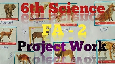 6th Science//FA -2//Project Work