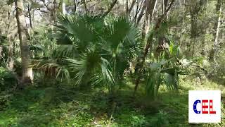 0 54 Acre Lot in Ocala FL Private Road Access Adjacent Lot Available