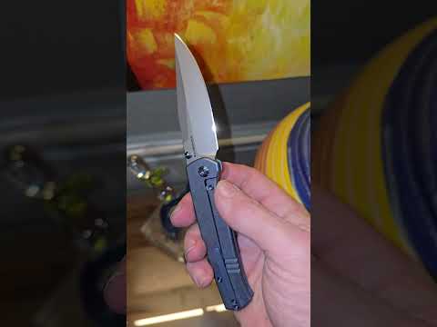 WE Knives Evoke 20cv (Ray Laconico design)     