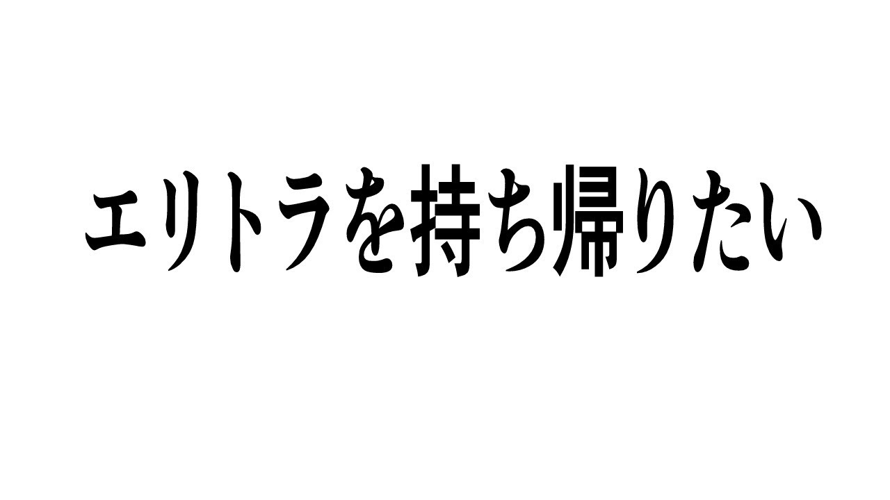 【Minecraft】エリトラが欲しいのだ!!!!【ホロライブ/白上フブキ】