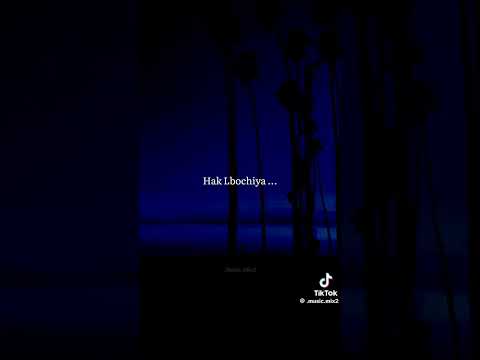 مريولة تيري عليا 