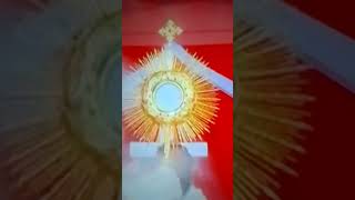 today Madha tv blessing 🙏 06::10::2025 be testimony for Jesus