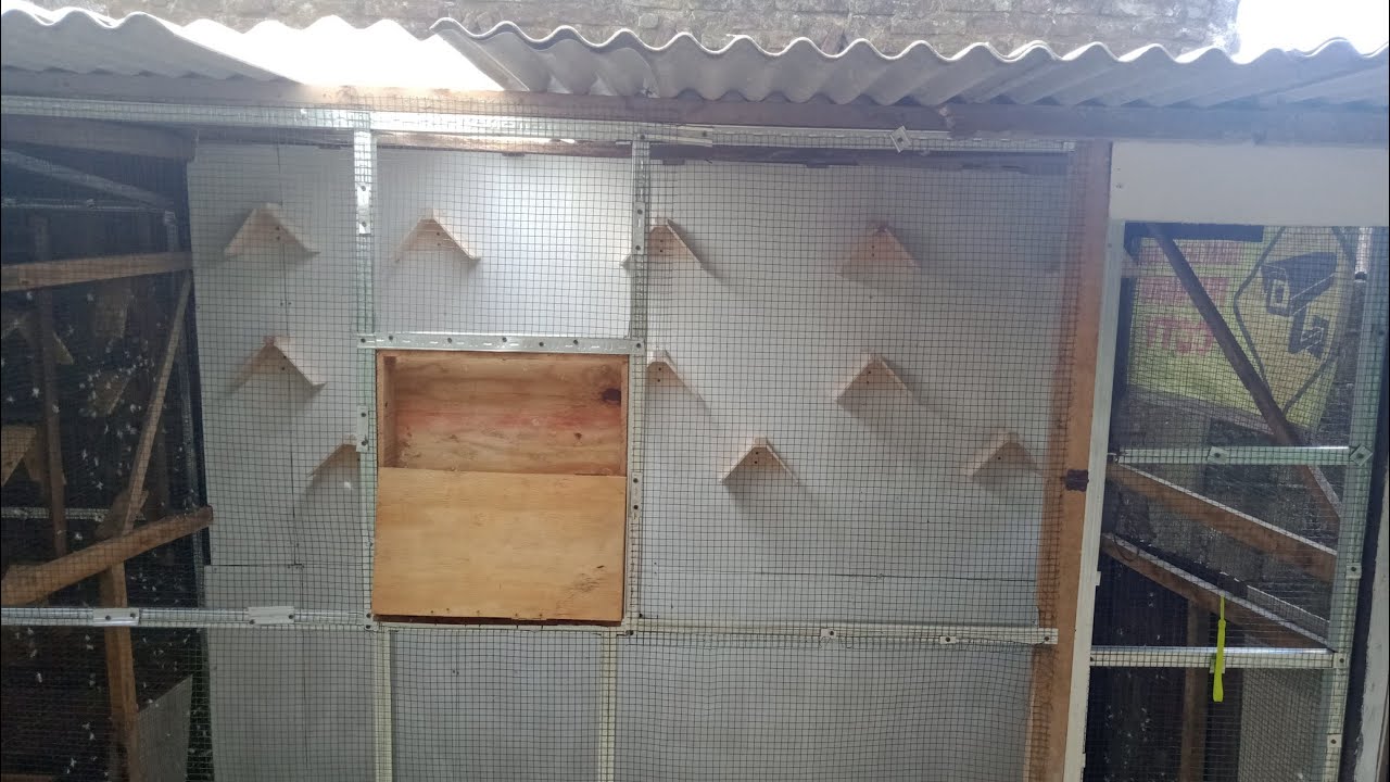 Buat kandang merpati pos sederhana