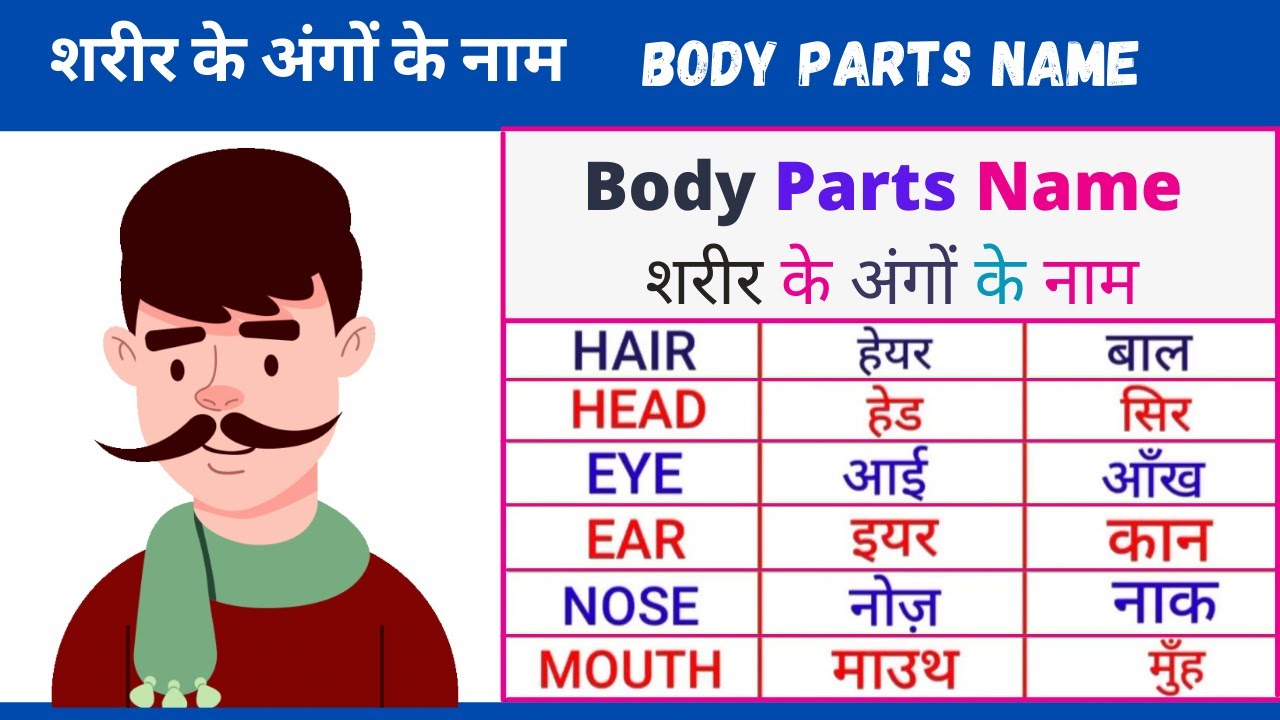 Human Body Parts Name Hindi English With Pictures human-body-parts-name-hindi-english-with-pictures
