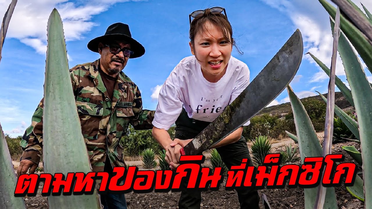 ตามหาของกิน ที่เม็กซิโก! ตั้งแต่ตลาดถึงกลางทุ่ง