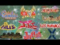 LAS CUMBIAS MAS PERRONAS MIX, RAYMIX, GRUPO JALADO, ICC, KUAL, GILES, LOS DEAKINO, SON TEPITO, AKIN