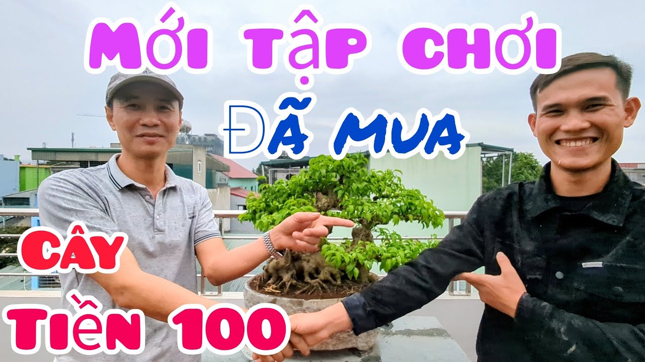 Mới tập chơi mà đã liều lĩnh xuống tiền mua cây tiền trăm. Tuổi trẻ tài cao.