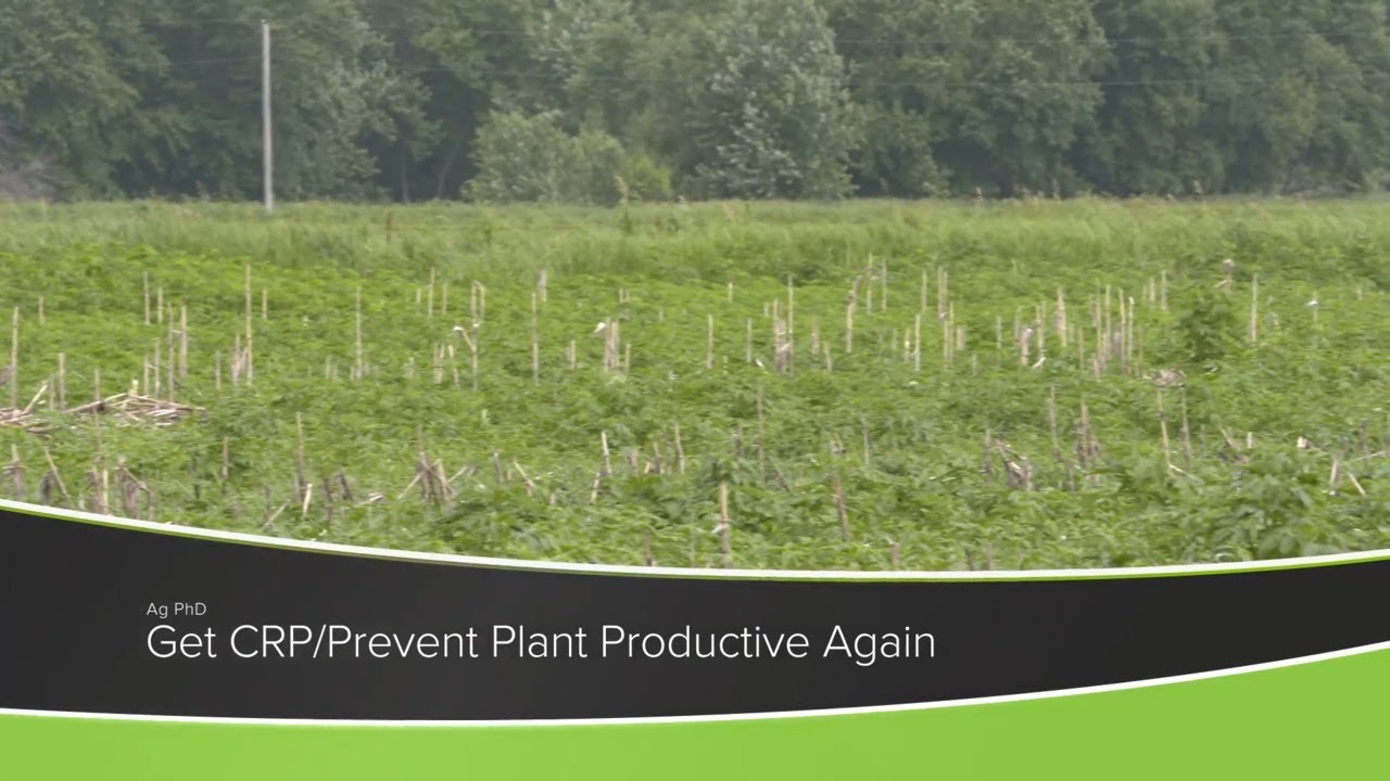 CRP and Prevent Plant Acres (From Ag PhD Show 