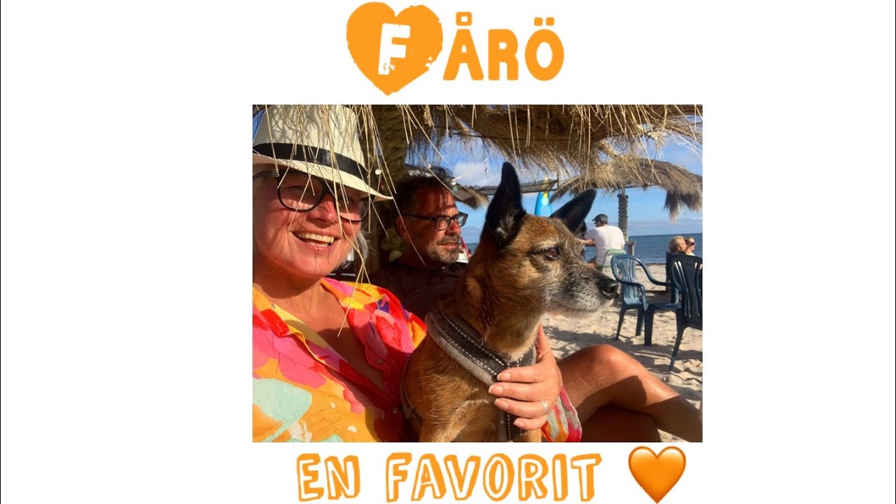 Fårö, vår favoritö! Vi kikar på Sudersand, raukar och Farnavik bla.