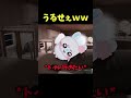 世界で最もうるさい動画(当社比) #ちいかわ #中国