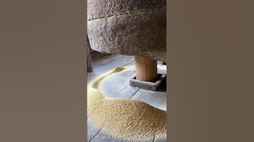 Ancient Wheat Grinding Process #ancient #wheat #grinding #shorts