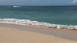 Landscapes On My Soles Book Trailer