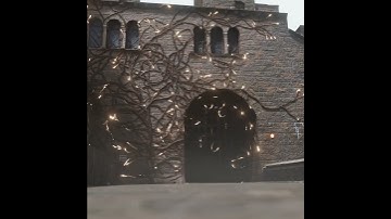 Magic Vine Growth Test