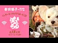 柴田聡子『弾き語りツアー風 &ldquo;柴田聡子のインターネットひとりぼっち&rsquo;20&prime;&prime;』厳選ピンク集