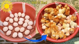 How to hatch eggs at home without incubator - incubator plastic box help sunlight 100% result