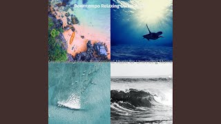 Simplistic Music for Summertime Vibes