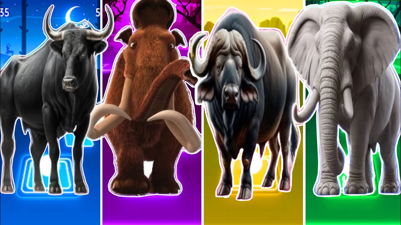 🐘Funny Elephanti🆚🐂Funny Bull🆚🐎Funny Horse🆚🐃Funny Buffalo |Coffin Dance |Tiles Hop 🪩🌈🔥🎊