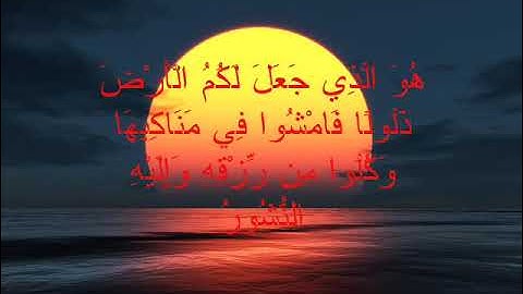 سورة الملك للشيخ أبو بكر الشاطري