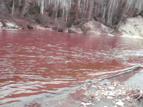 McKay River (or Red River to Fort McKay people), which feeds into the Athabasca River just south of Fort McKay, in the heart of the Alberta oil sands production region. This video was taken was taken about ten kilometres upstream from where the McKay River flows into the Athabasca River.