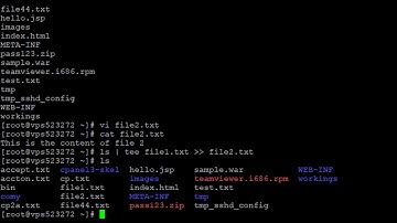 How to redirect output of a command to one existing file and one new file