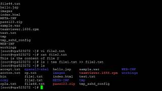 How to redirect output of a command to one existing file and one new file