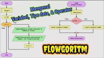 Belajar Variabel, Tipe data dan Operator pada flowchart/flowgoritm