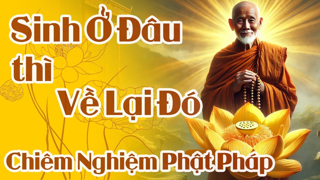 Thân Này Rồi Cũng Trả, Vậy Ta Giữ Lại Được Gì | Chiêm Nghiệm Phật Pháp Dễ Ngủ | Pháp Mộc Tâm